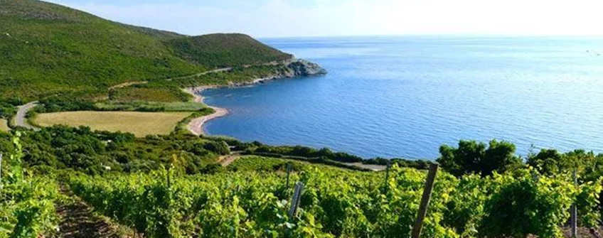 紅酒進口報關：智利紅酒進口報關流程及關稅