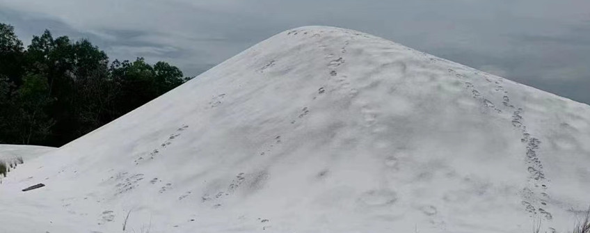  馬來西亞石英砂進口廈門港清關流程