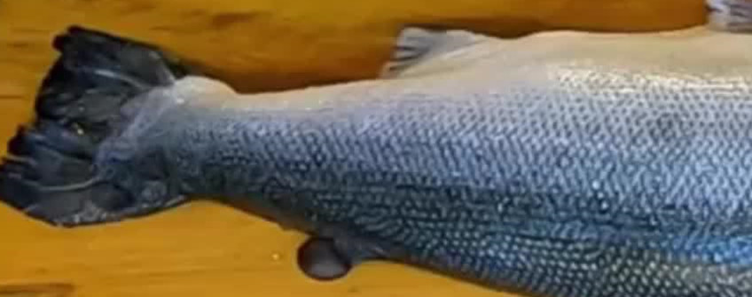 日本核污水排海對全球水產品影響