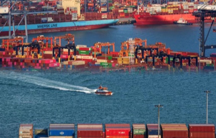 上海海關全力保障第八屆進博會首批展品通關