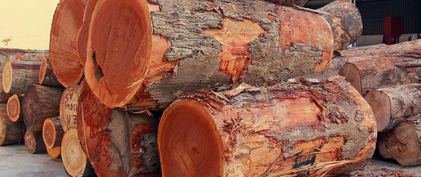 紅木家具進口清關