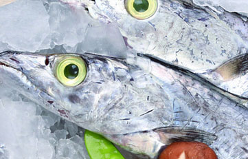 凍帶魚進(jìn)口報(bào)關(guān)注意事項(xiàng)？