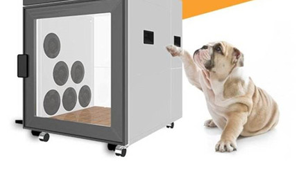 深圳清關：寵物護理儀進口清關流程及難點