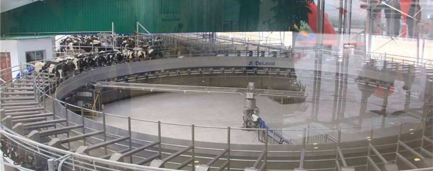 瑞典二手擠奶機進口中山清關