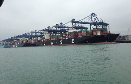 巴西雞爪進口清關的提單是哪種