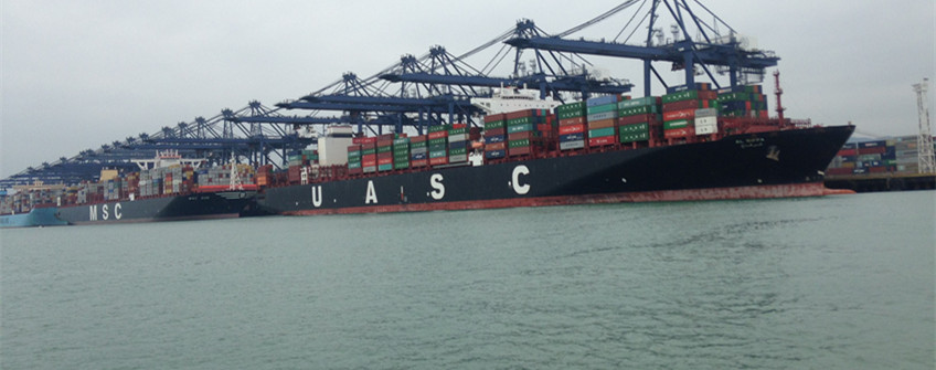 巴西雞爪進口清關的提單是哪種