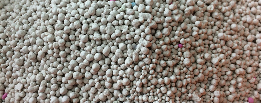 貓砂從國外如何進口到國內？