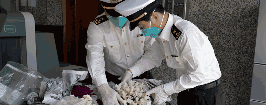 如何區分香港進口報關和香港進口清關