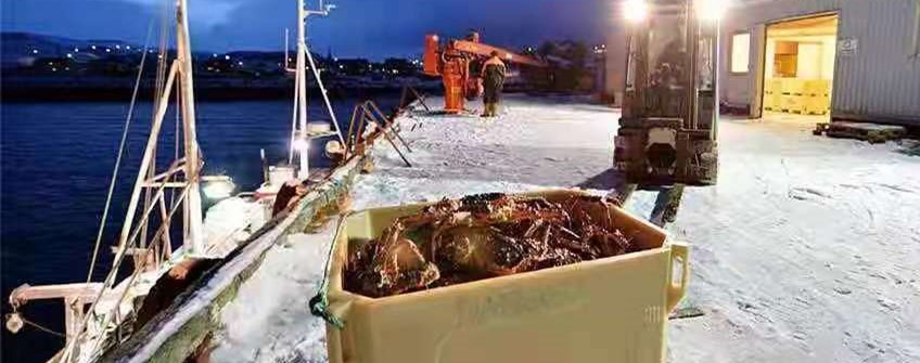 國外活海鮮進口廣州可以清關嗎？