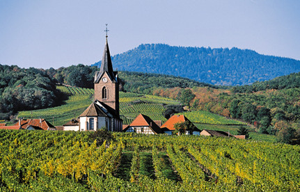 葡萄酒進口報關：法國紅酒進口報關要素有哪些？